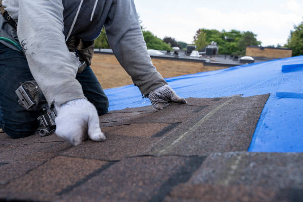 Quick and Trustworthy Emergency Roof Repair Services in Paris, IL