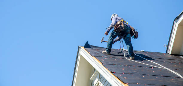 Best Affordable Roofing Company  in Paris, IL